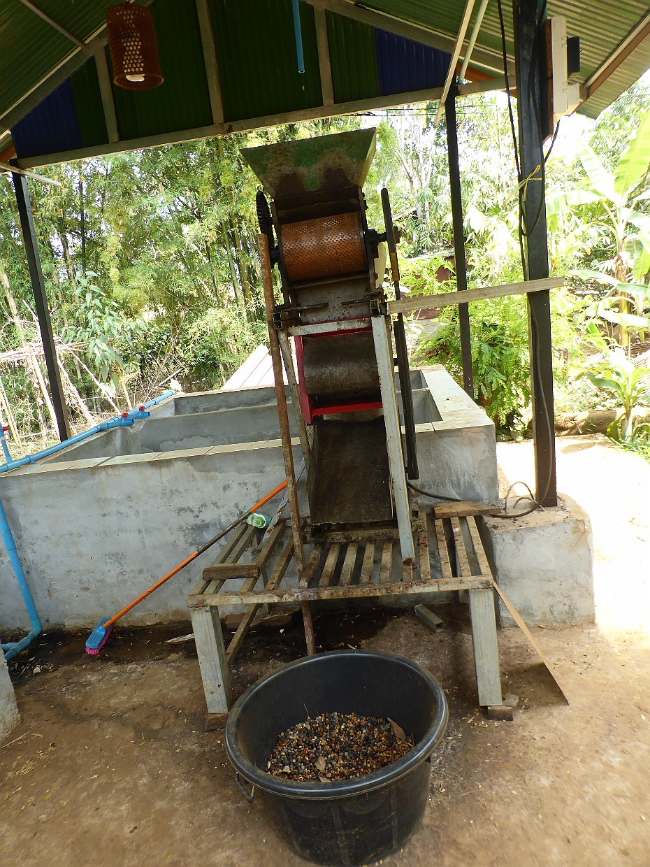 Bolaven 0019